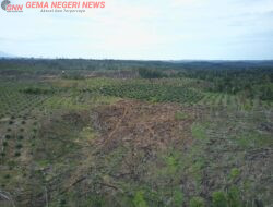 Kawasan Hutan Bengkulu Semakin Terdesak, Genesis: Setengah Dari Total Kerusakan Berada di Dalam Hutan Produksi