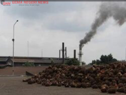 Camat Singingi Kaget dan Segera Panggil Management PT. SUN dan PT. YBS, Diduga Tak Bayarkan BPHTB