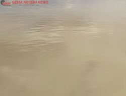 Sungai Singingi Tercemar, Masyarakat Kuansing Angkat Bicara