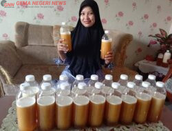 Madu Murni Vicella, Solusi Sehat dari Hutan Kuansing yang Kini Diburu Pasar