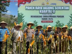 Polres Lebong Gelar Panen Raya Jagung Serentak dan Eskpor Perdana ke Malaysia