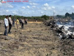 Bakar Lahan untuk Sawit, Warga Pekanbaru Ditangkap di Kuansing