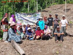 Desa Air Palawan Laksanakan Tanam Perdana Jagung, Wujudkan Ketahanan Pangan Lokal