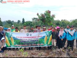 Tanam Perdana Jagung di Desa Sinar Banten, Dorong Ketahanan Pangan dan Kesejahteraan Petani