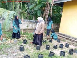 PKK Desa Tanjung Agung Tanam Apotek Hidup di Posyandu