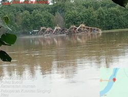 Sungai Kuantan Dikeruk Terang-Terangan, Dompeng Menggila di Pulau Busuk