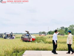 Presiden Prabowo Umumkan Indonesia Resmi Swasembada Pangan Nasional 2025