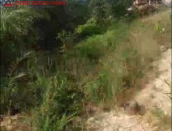 Dugaan PETI di Setiang Seret Nama Kades Aktif, Lahan Rusak dan Lingkungan Terancam, Integritas Pejabat Publik Dipertanyakan