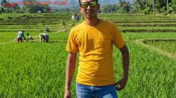 Memupuk Asa di Tanah Gengsi: Mengapa Anak Muda Enggan Mencangkul?