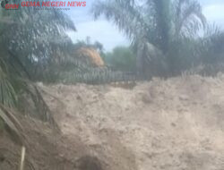 PETI Terbuka di Pinggir Jalan, Negara Dipertaruhkan: Siapa Lindungi Dompeng di Kebun Lado–Petai?