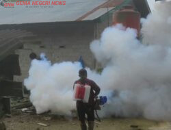 Kasus DBD Muncul di Air Emas, Dinas Kesehatan Kuansing Bergerak Lakukan Fogging