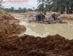PETI Diduga Kembali Menggila di Singingi Hilir, Warga Resah: “APH Jangan Tutup Mata, Usut Sampai Aktor di Belakangnya”