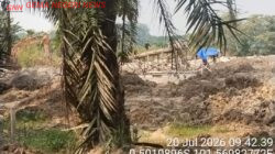 Diduga PETI di Pulau Komang Libatkan Alat Berat, Pemilik Excavator dan Mesin Akui Kepemilikan