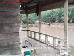 PETI Sentajo Kembali Beroperasi, Nama Wisma Disebut, Aparat Diminta Telusuri Pemodal