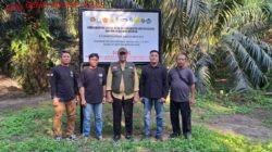 Diduga Kebun Sudah di Plang PKH, Hasil Buah Masih Dipanen, Siapa Pengendali Kebun Milik AGN dan YK.
