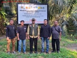 Diduga Kebun Sudah di Plang PKH, Hasil Buah Masih Dipanen, Siapa Pengendali Kebun Milik AGN dan YK.