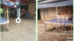 Warung Remang-remang di Pinggir Jalan, Pekat Mengintip dari Kilometer 9 Sentajo Raya