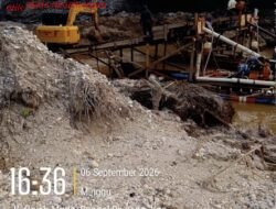 Rp300 Juta untuk Satu Hektare, Tanji Diduga dibalik PETI Sungai Bawang F5.