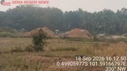 Empat Rakit Dompeng di Tengah Persawahan Muaro Sentajo, Material Tanah Menggunung: APH Diminta Turun