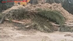 Excavator SANY Diduga Kupas Lahan untuk PETI di Kuansing, Nama Kodir Disebut Warga — APH Ditantang Buka Mata
