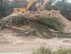 Excavator SANY Diduga Kupas Lahan untuk PETI di Kuansing, Nama Kodir Disebut Warga — APH Ditantang Buka Mata