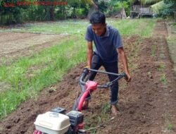Bajak Gratis Hadir di Seberang Taluk, Pemdes Ringankan Beban Petani dan Dorong Produktivitas