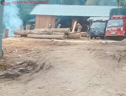 Sawmill Desa Kasang Kembali Beraktivitas Setelah Police Line Terpasang: Di Mana Konsistensi Penegakan Hukum?