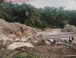 Rakit PETI Menggila di Kebun Lado, Yatino Disebut Pemilik, APH ke Mana?