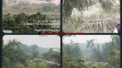 PETI Pulau Lowe: Antara Teater Penertiban dan Kegagalan Substansial Aparat
