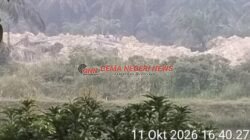 PETI Kembali Muncul di Pulau Lowe, Enam Rakit Terpantau, Efektivitas Penertiban APH Dipertanyakan