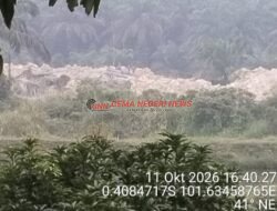 PETI Kembali Muncul di Pulau Lowe, Enam Rakit Terpantau, Efektivitas Penertiban APH Dipertanyakan