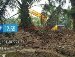 Tim Media Temukan Alat Berat dan Mesin Diduga PETI di Arah Ekstrans, APH Ditantang Bertindak!