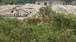 PETI Beroperasi Terang-terangan di Beringin Taluk, Warga Pertanyakan Sikap APH